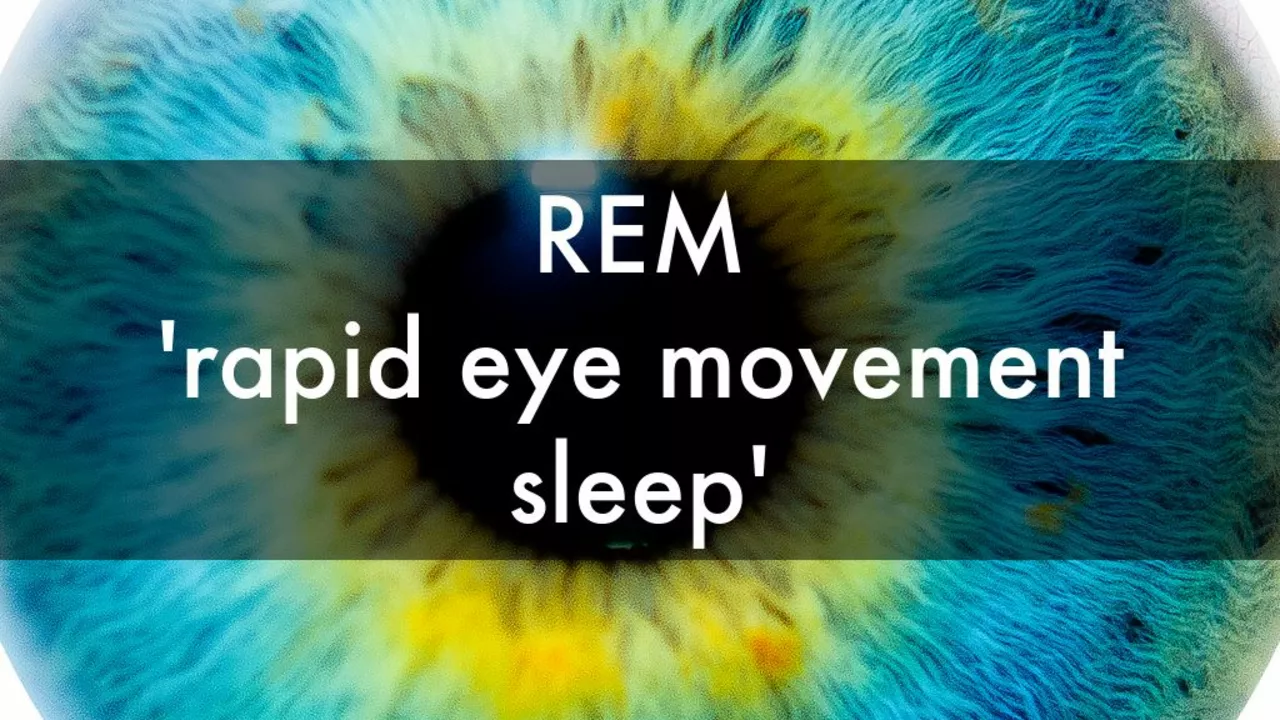 The Role of Rapid Eye Movement Sleep in Emotional Regulation